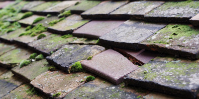 Hathern roof repair costs
